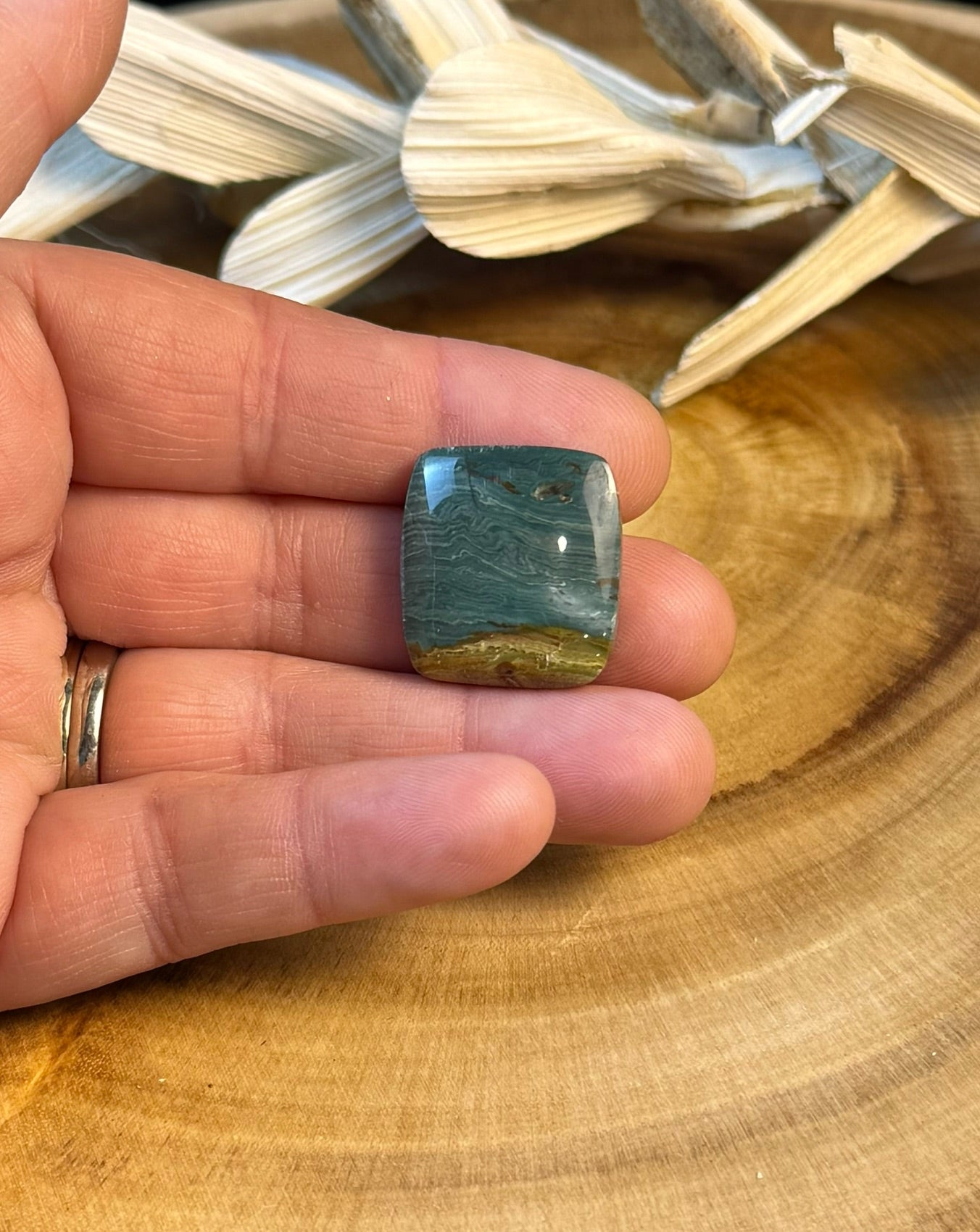 Blue Mountain Jasper Cabochon - PNW Cabochons