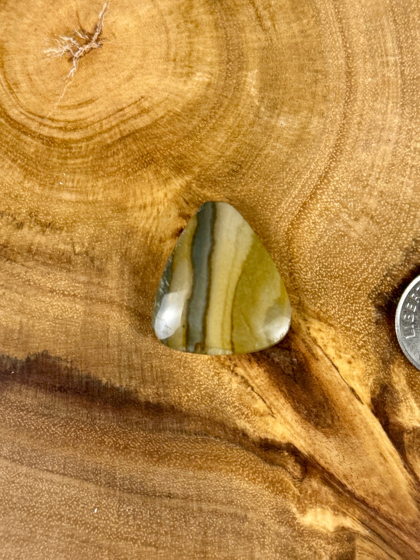 Deer Sky Jasper cabochon - PNW Cabochons