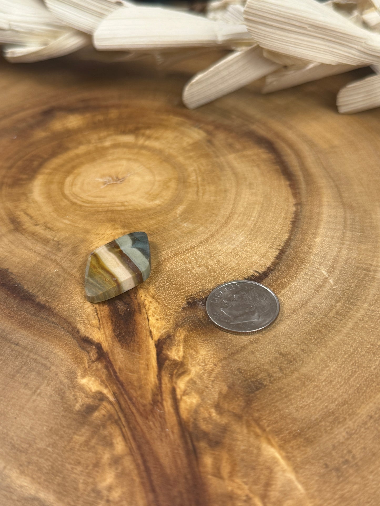 Polychrome Jasper Cabochon - PNW Cabochons