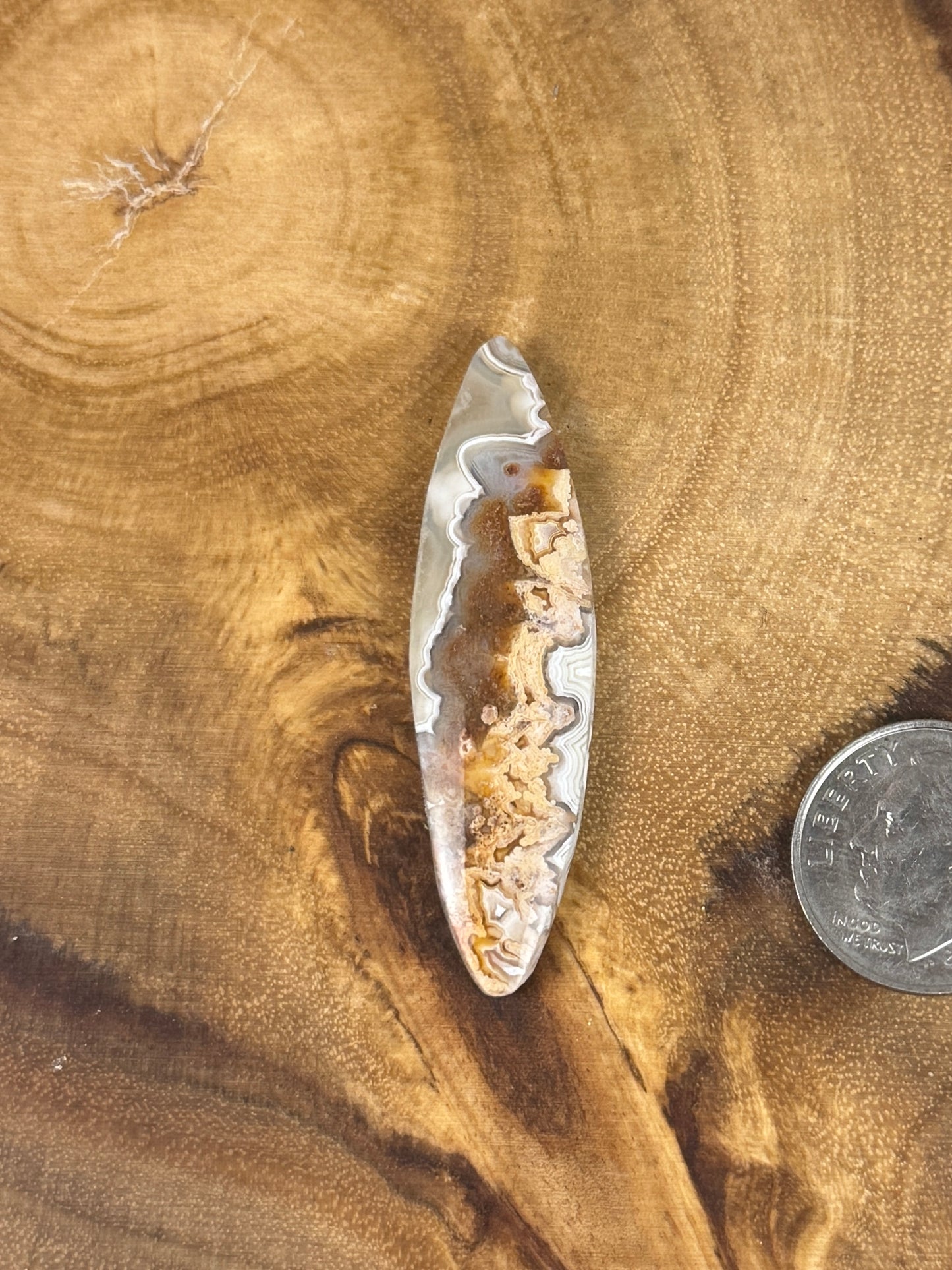 Mexican Crazy Lace Agate Cabochon