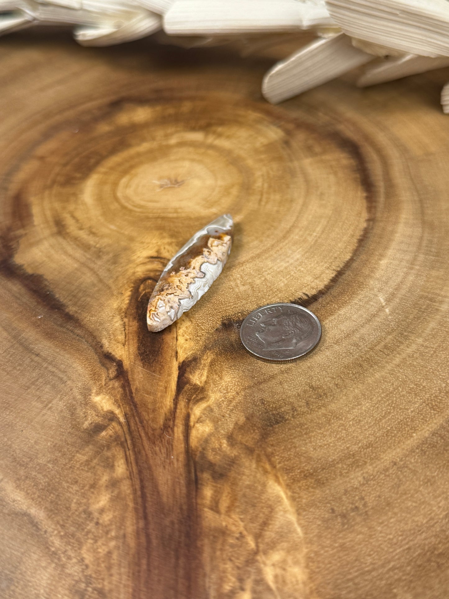 Mexican Crazy Lace Agate Cabochon