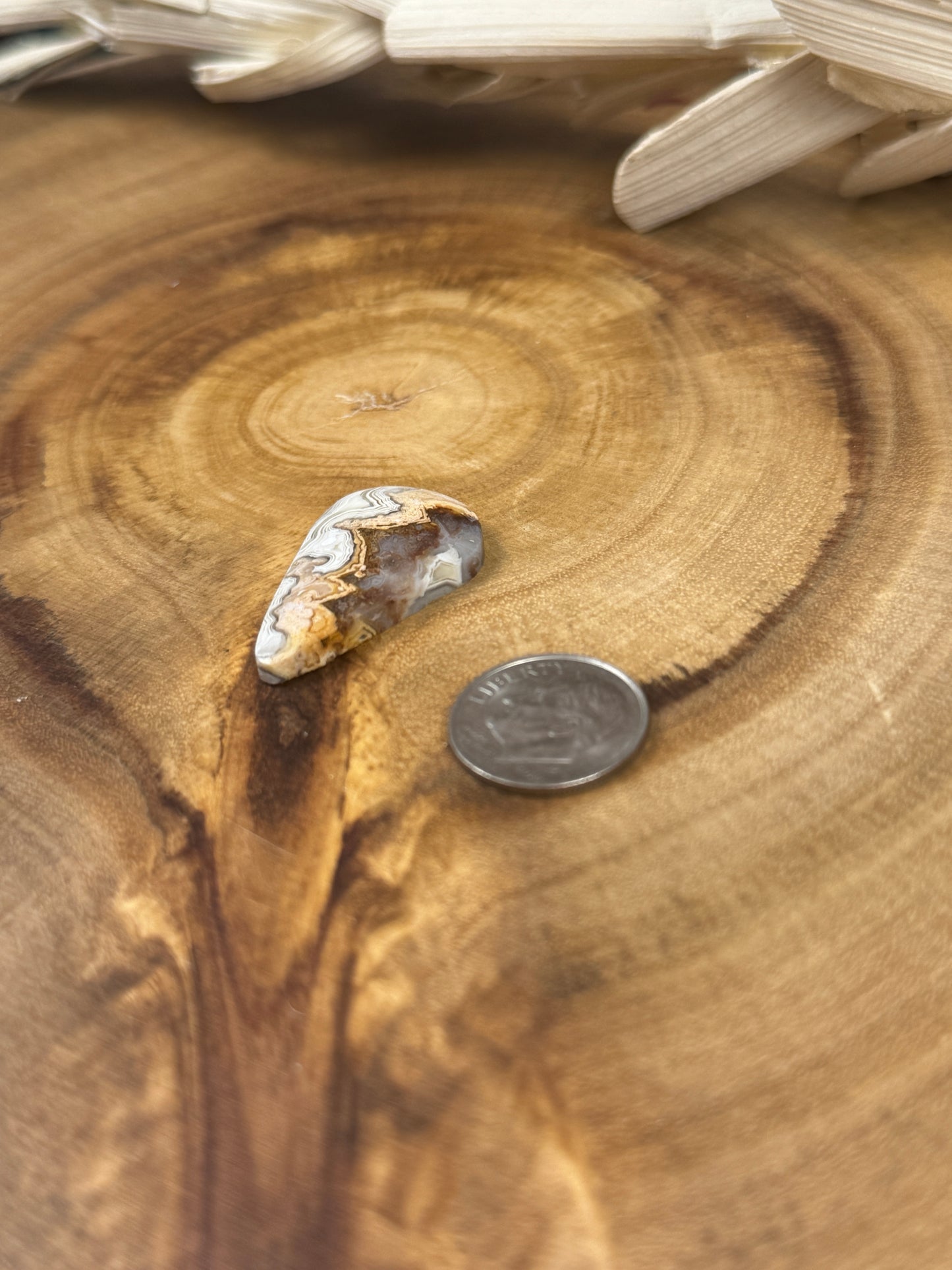 Mexican Crazy Lace Agate Cabochon