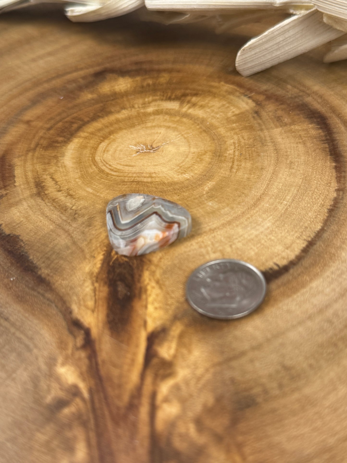 Mexican Crazy Lace Agate Cabochon