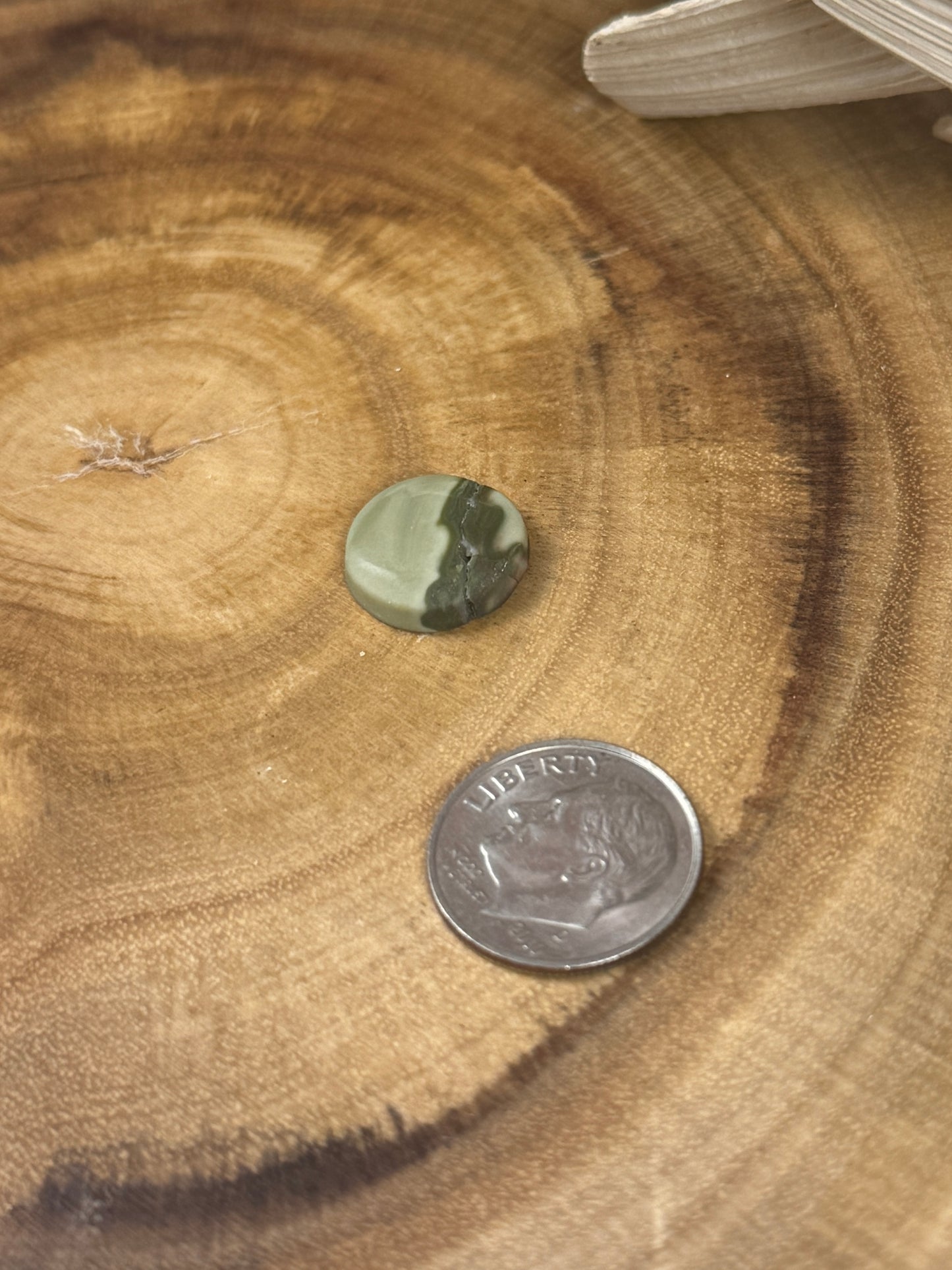 Arizona Polychrome Jasper Cabochon - PNW Cabochons