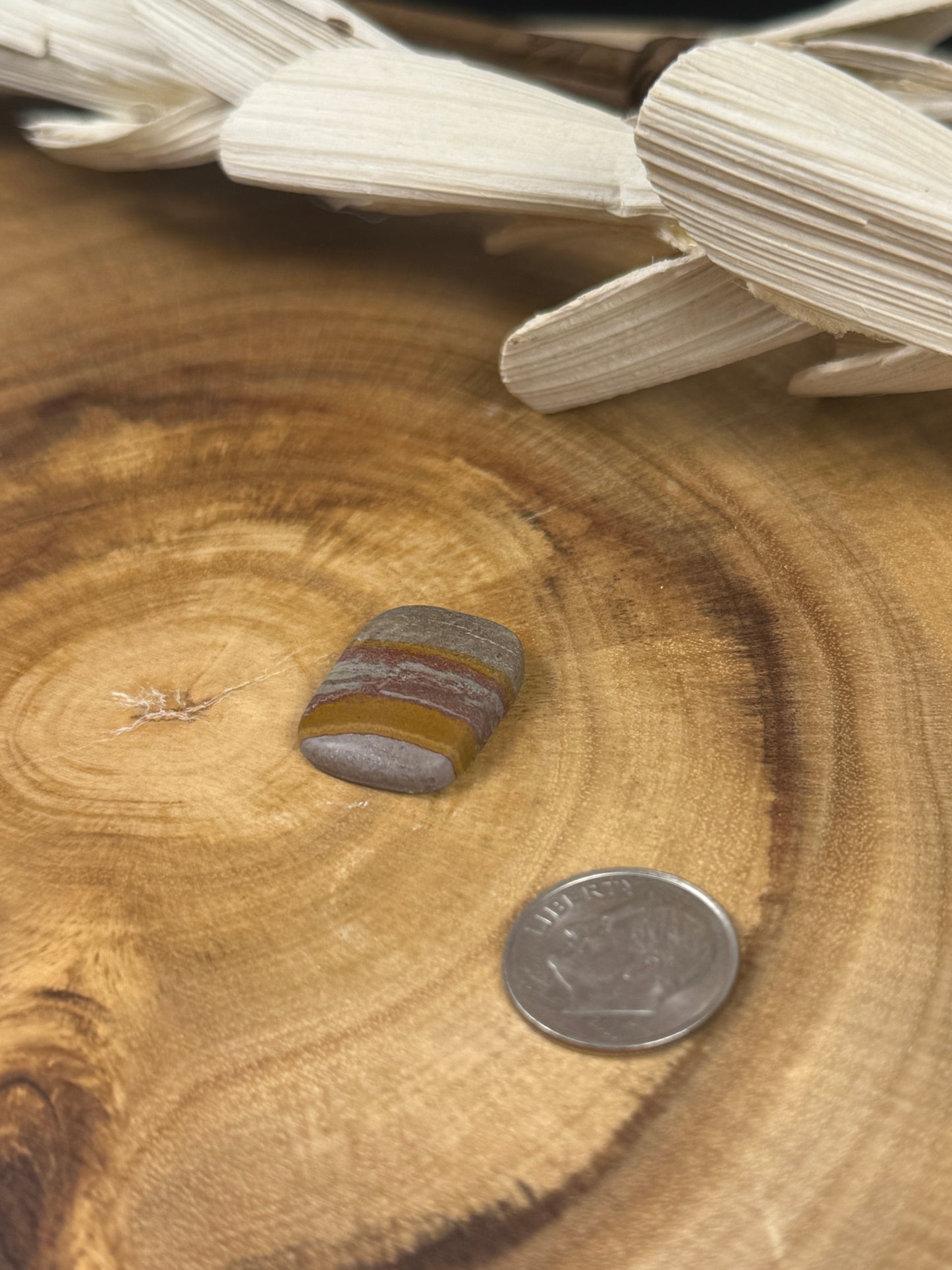 Banded Jasper Cabochon - PNW Cabochons