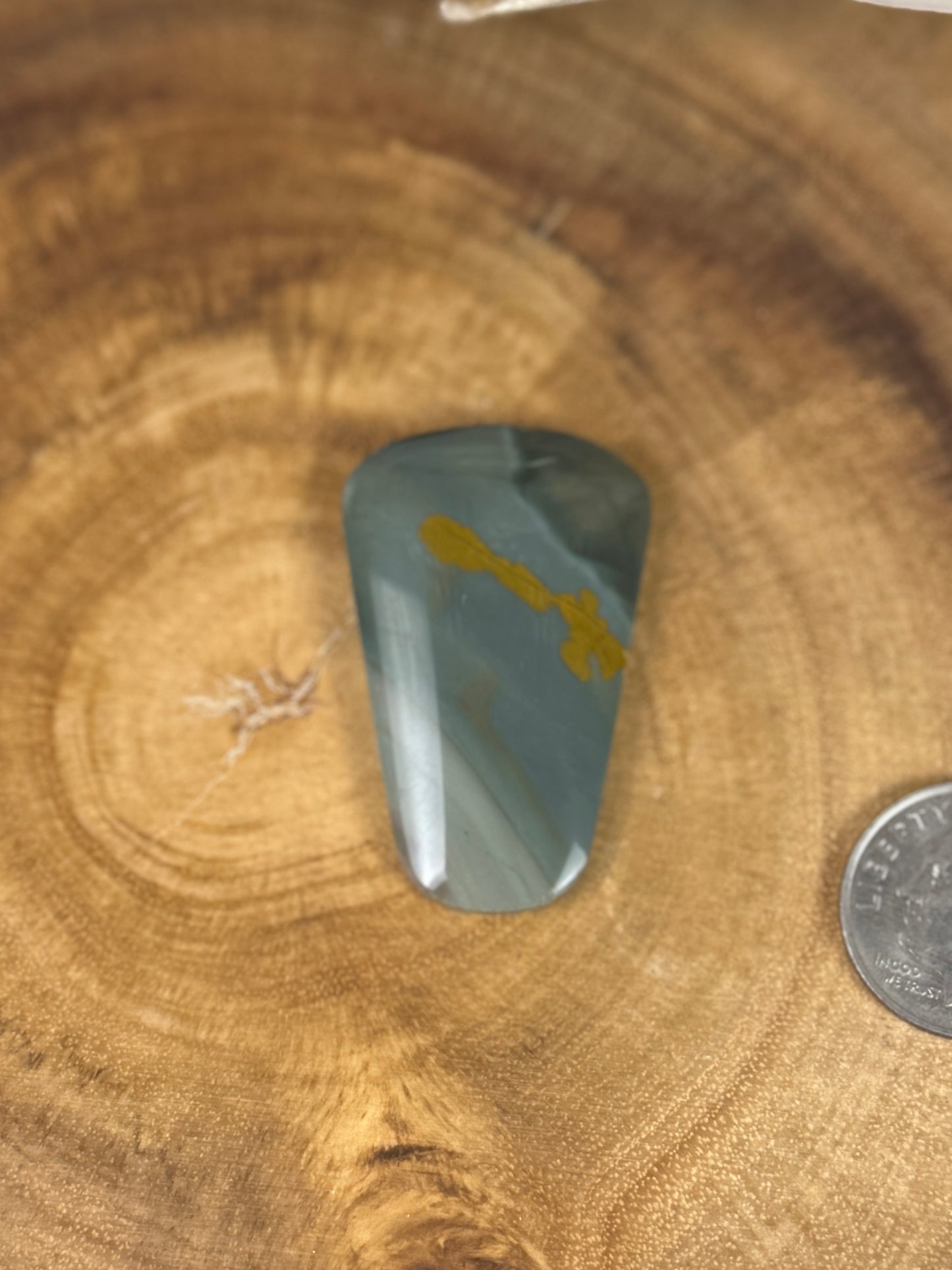 Blue Mountain Jasper Cabochon - PNW Cabochons