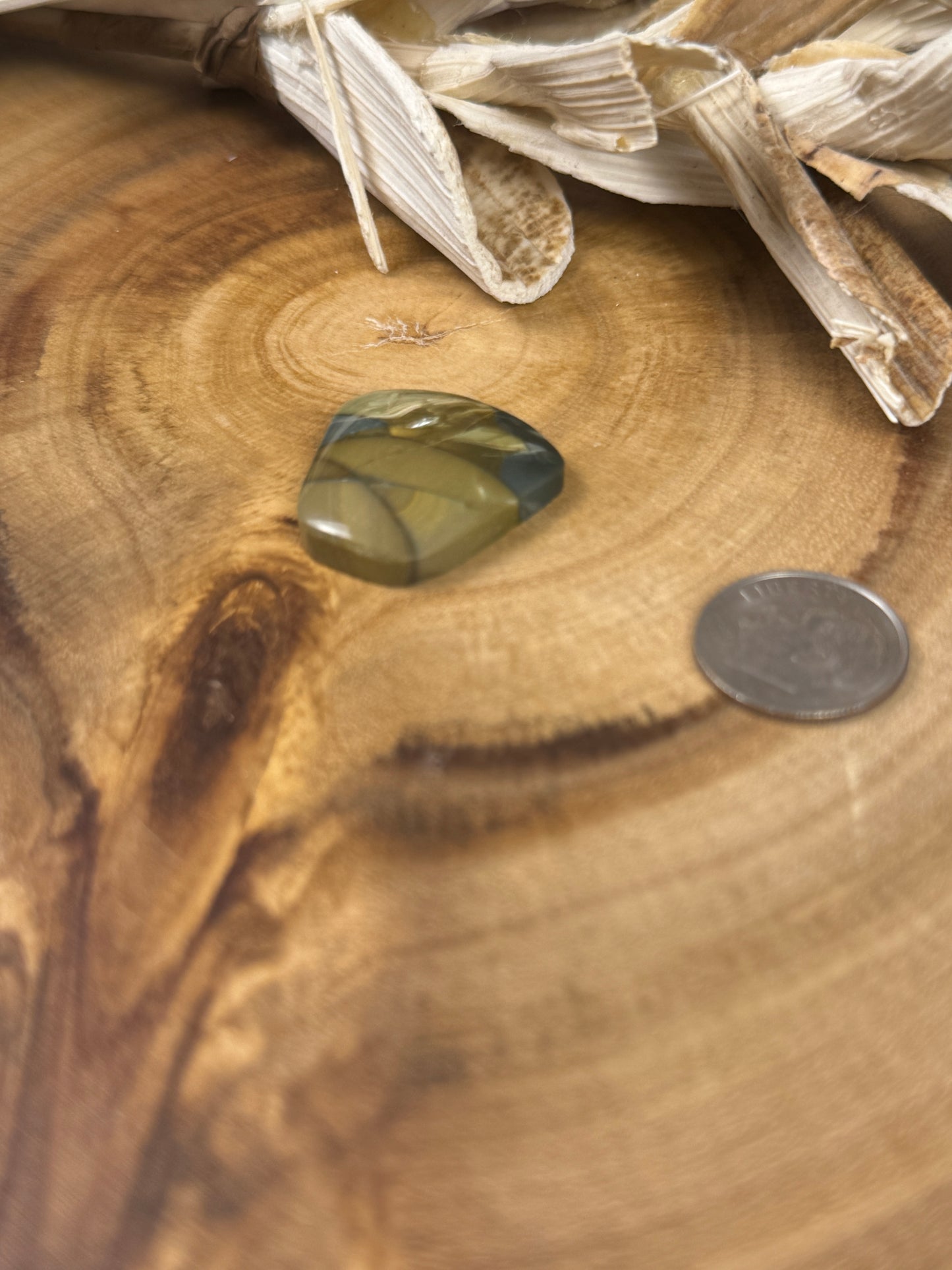 Blue Mountain Jasper Cabochon