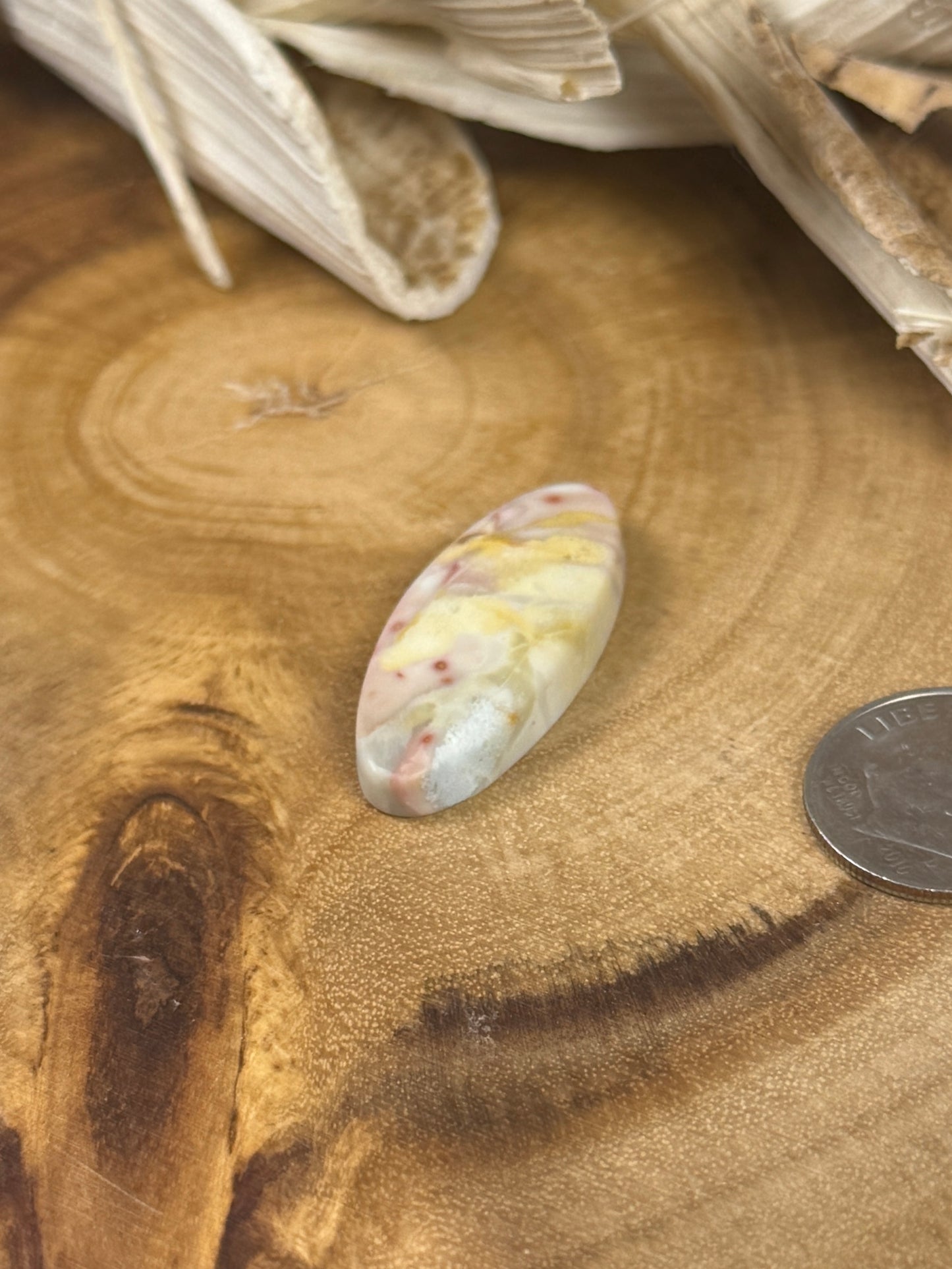 Willow Creek Jasper Cabochon