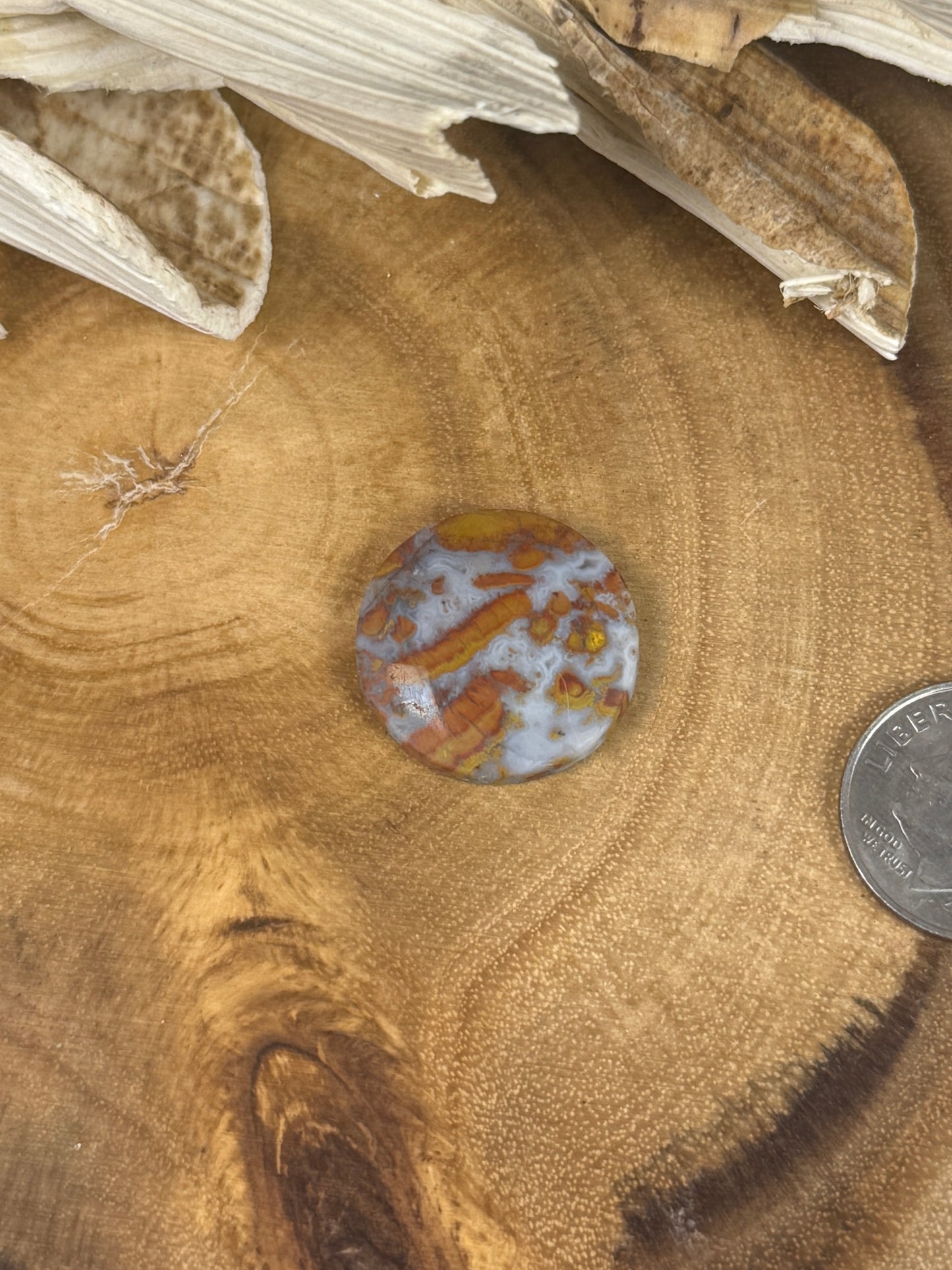 Apple Valley Agate Cabochon - PNW Cabochons