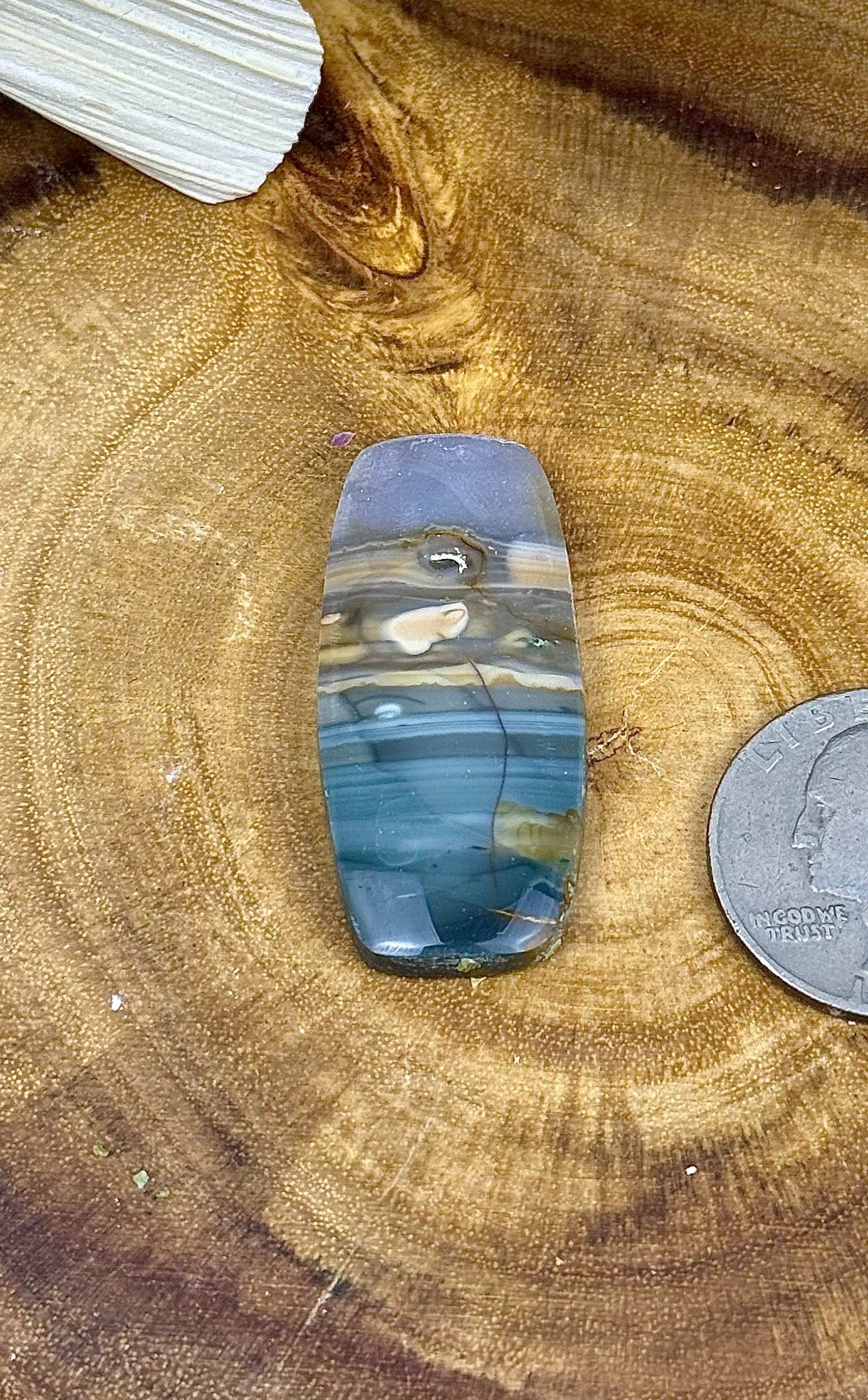 Blue Mountain Jasper Cabochon for Pendant - PNW Cabochons