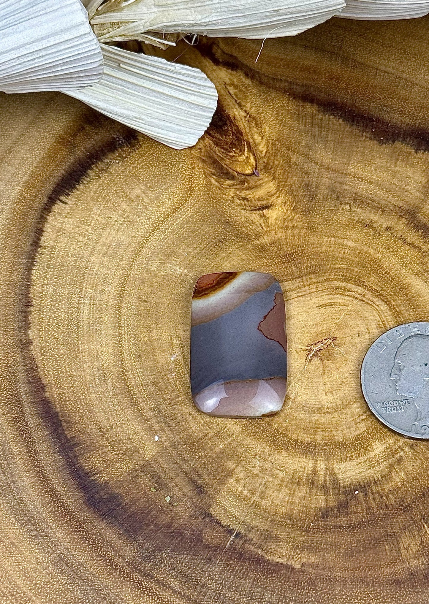 Desert Jasper Cabochon