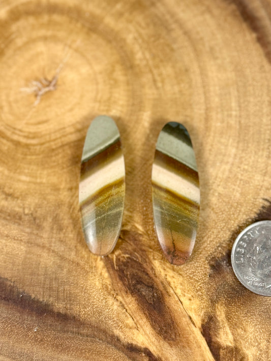 Polychrome Jasper Cabochon Pair for Earrings