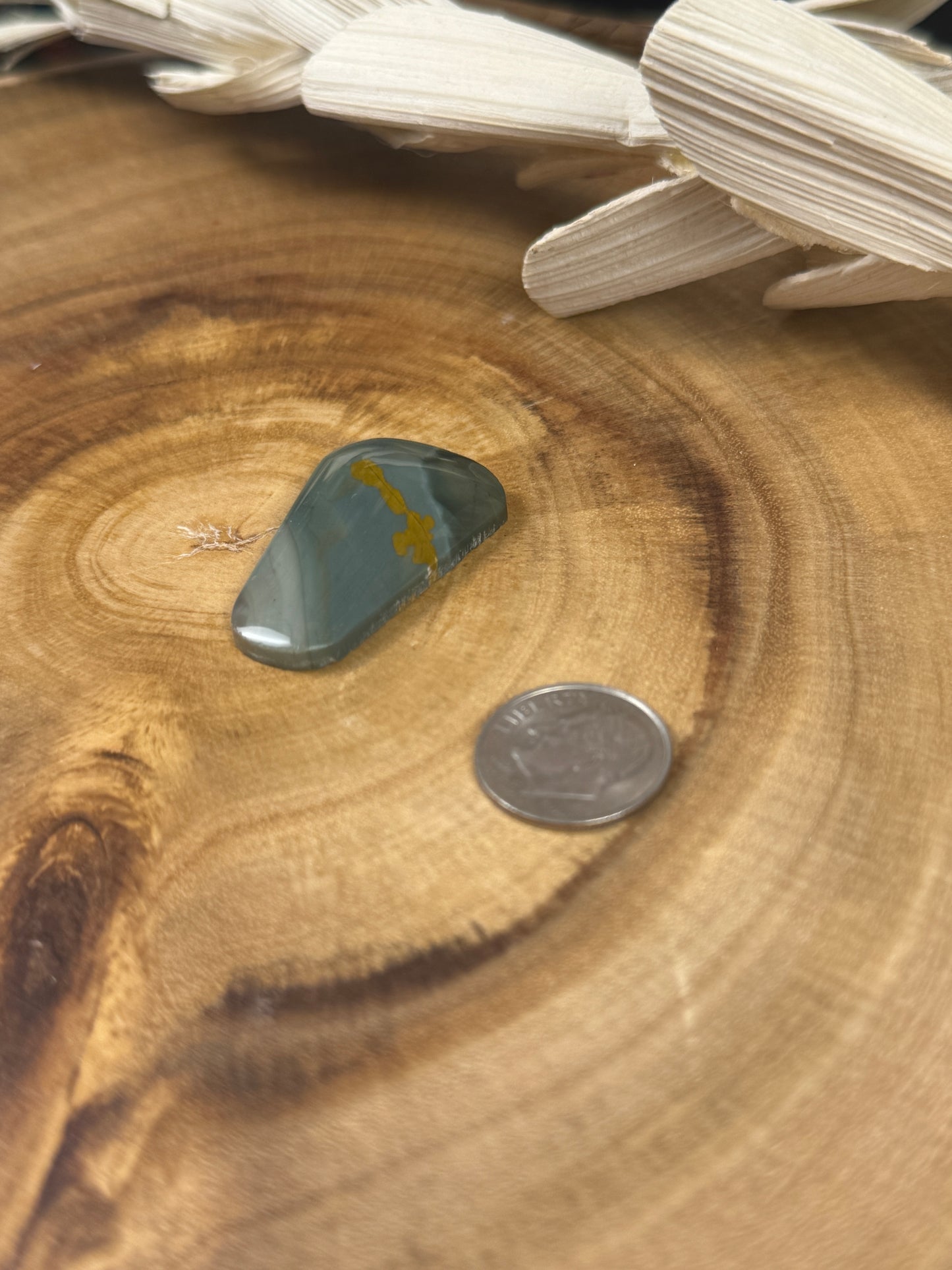 Blue Mountain Jasper Cabochon