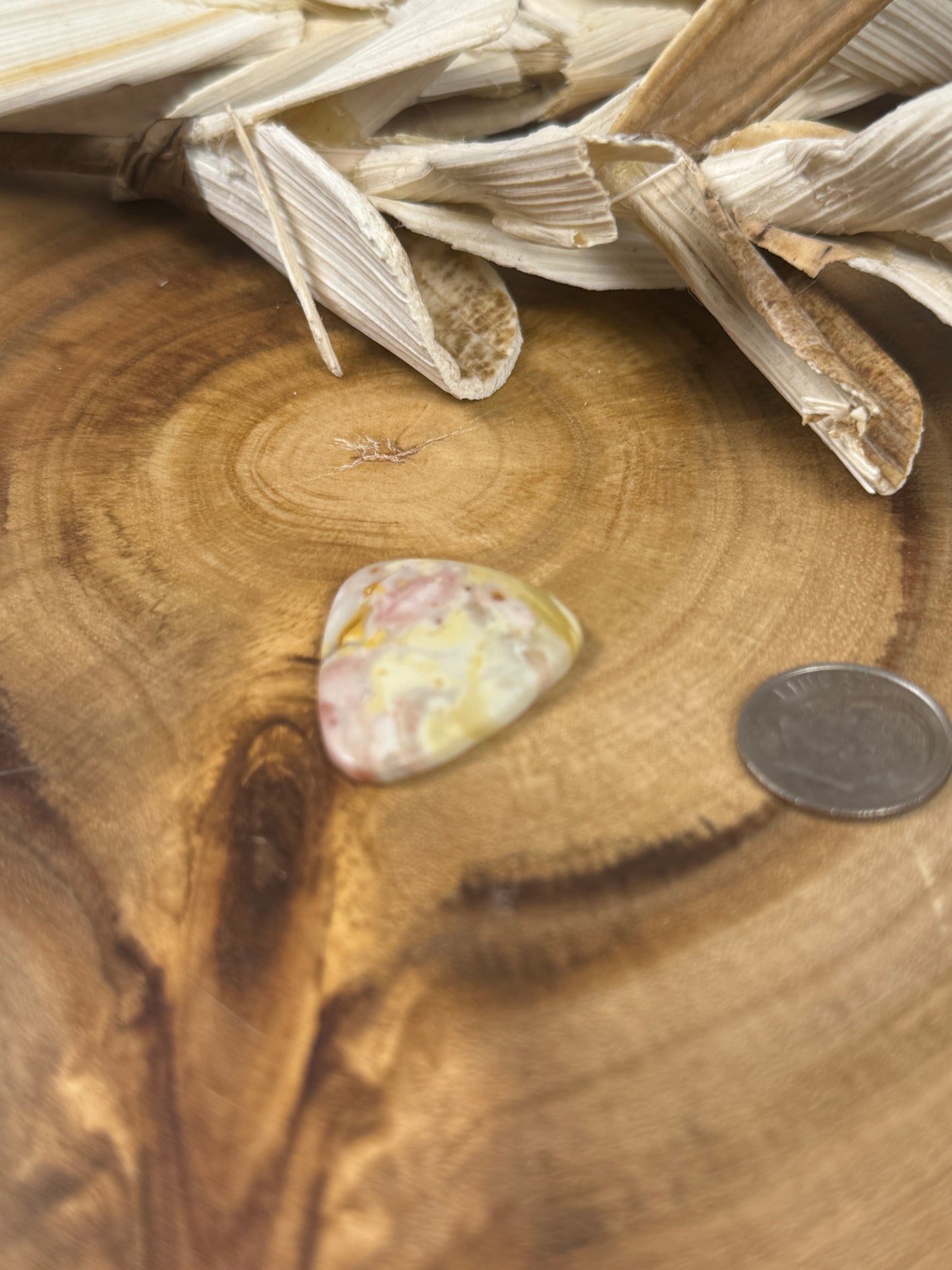 Willow Creek Jasper Cabochon