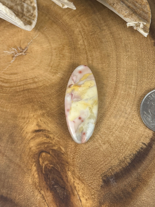 Willow Creek Jasper Cabochon