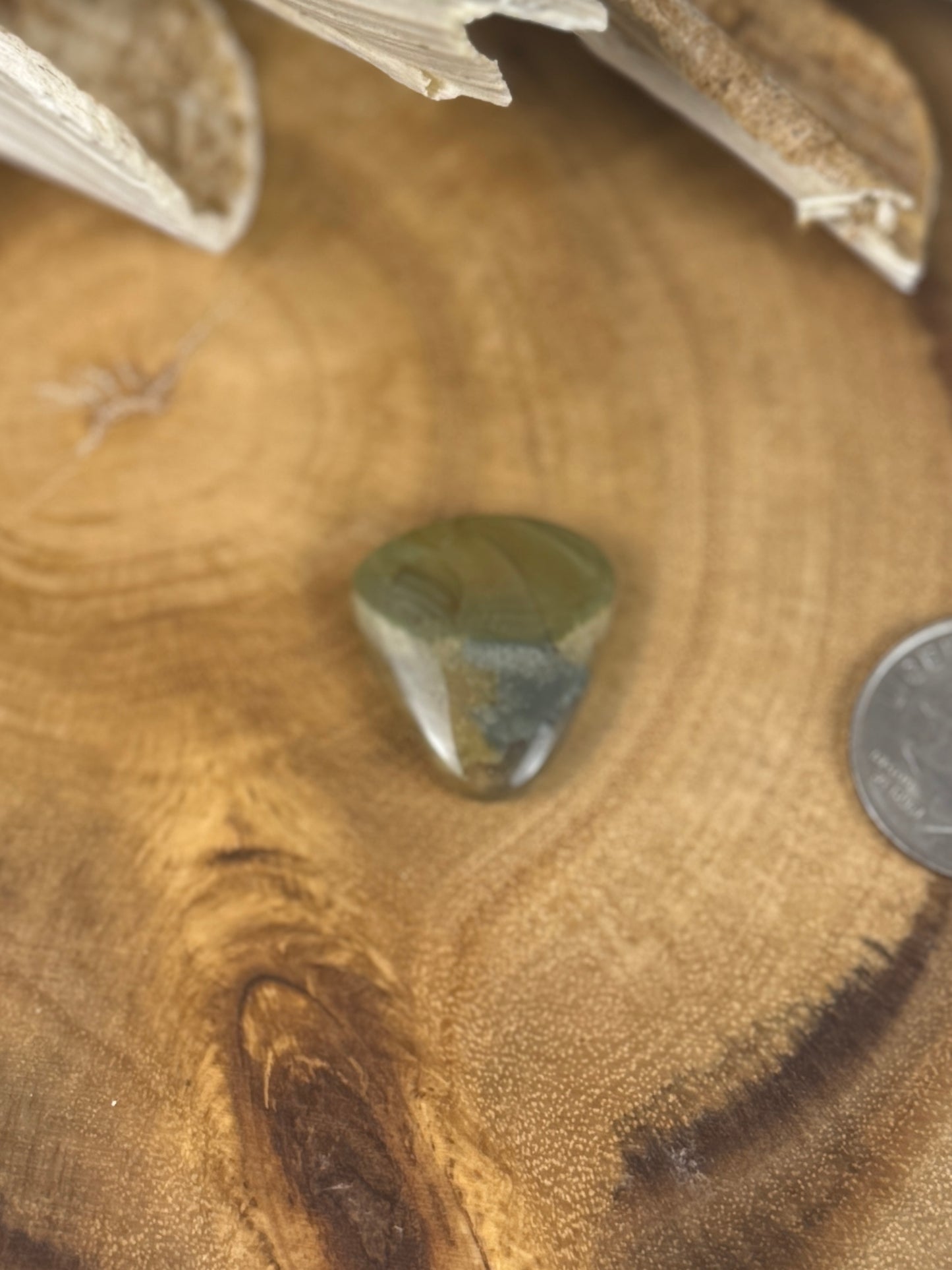 Blue Mountain Jasper Cabochon