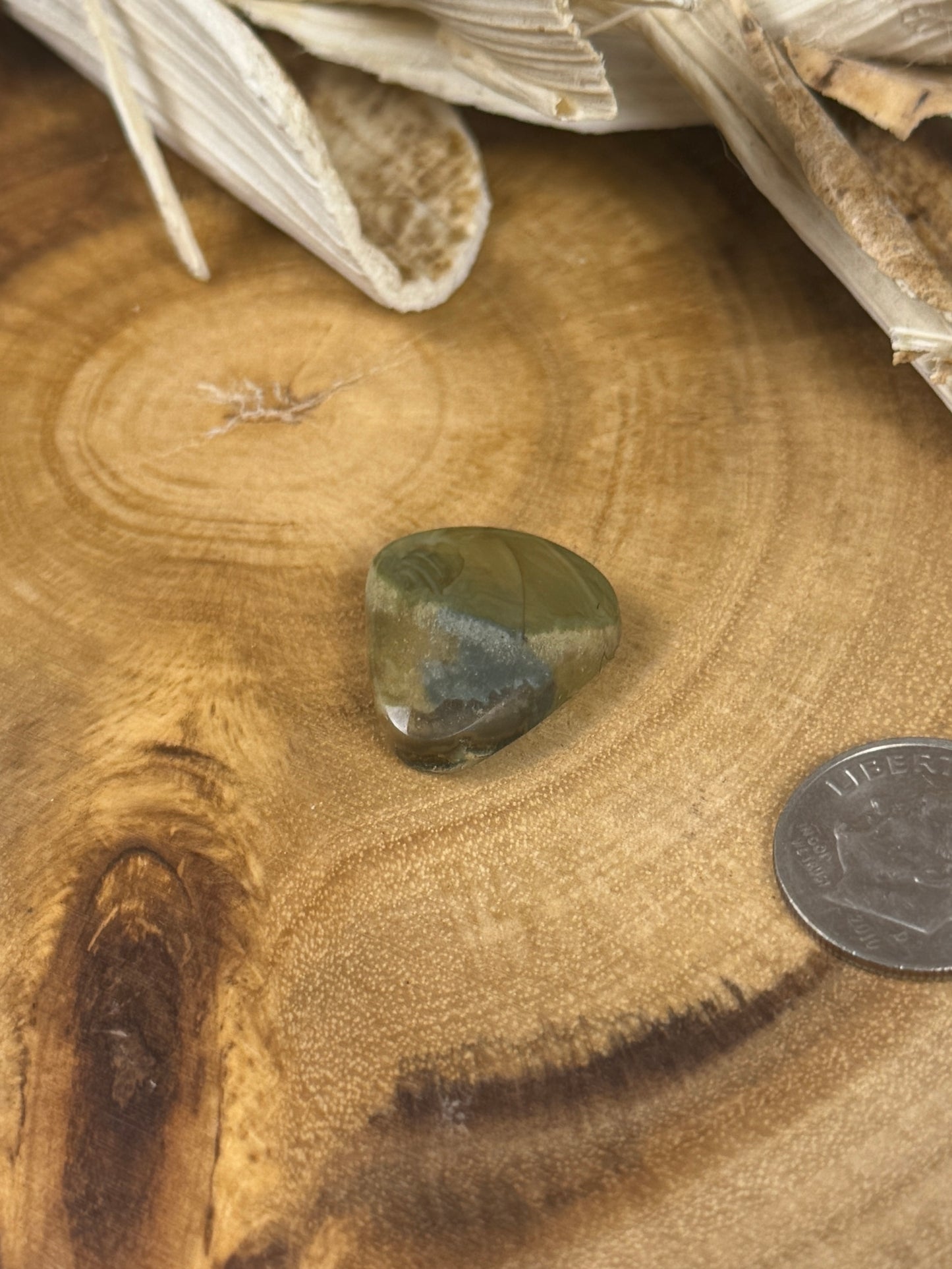 Blue Mountain Jasper Cabochon