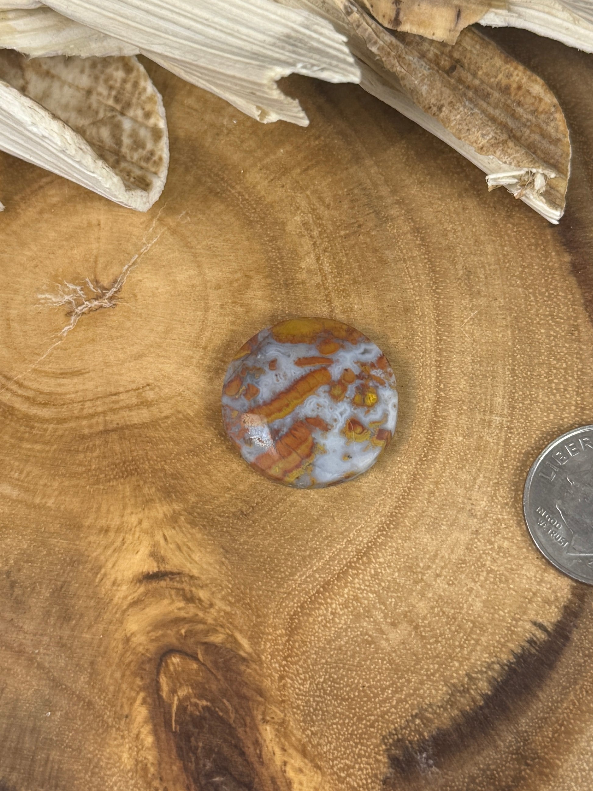Apple Valley Agate Cabochon - PNW Cabochons